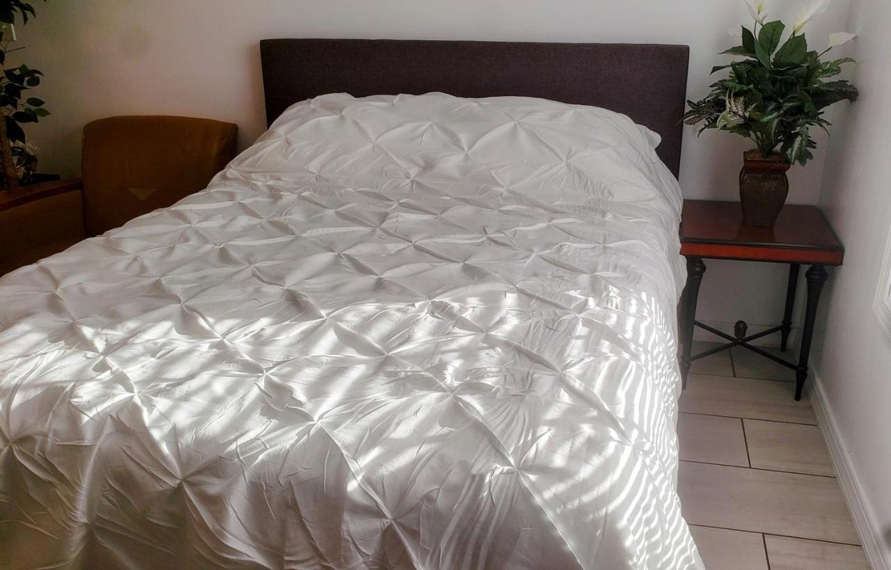 Stylish Suite Tampa Minutes To Hard Rock Casino Mango Luaran gambar