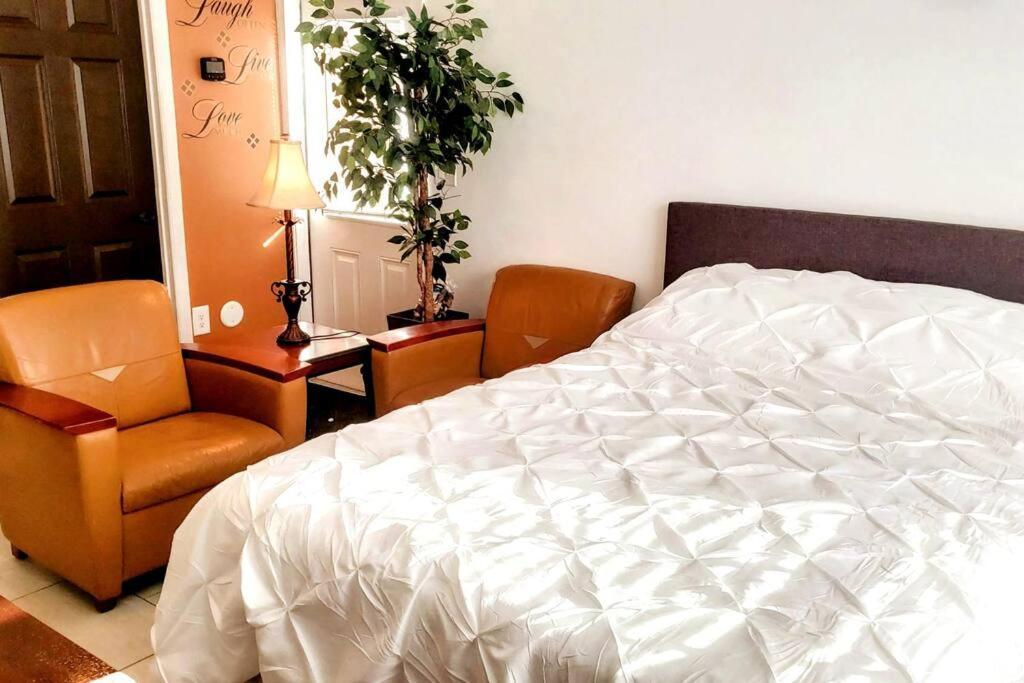 Stylish Suite Tampa Minutes To Hard Rock Casino Mango Luaran gambar